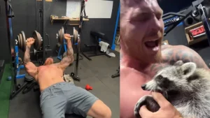 Vous n'aimez pas les chiens dans la salle de sport
